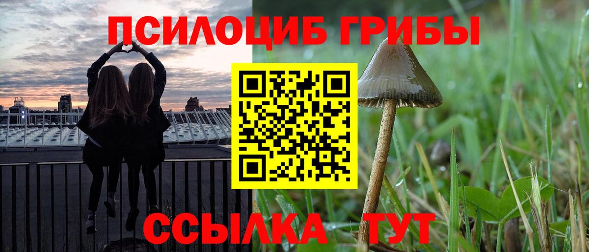 Псилоцибиновые грибы GOLDEN TEACHER Еманжелинск